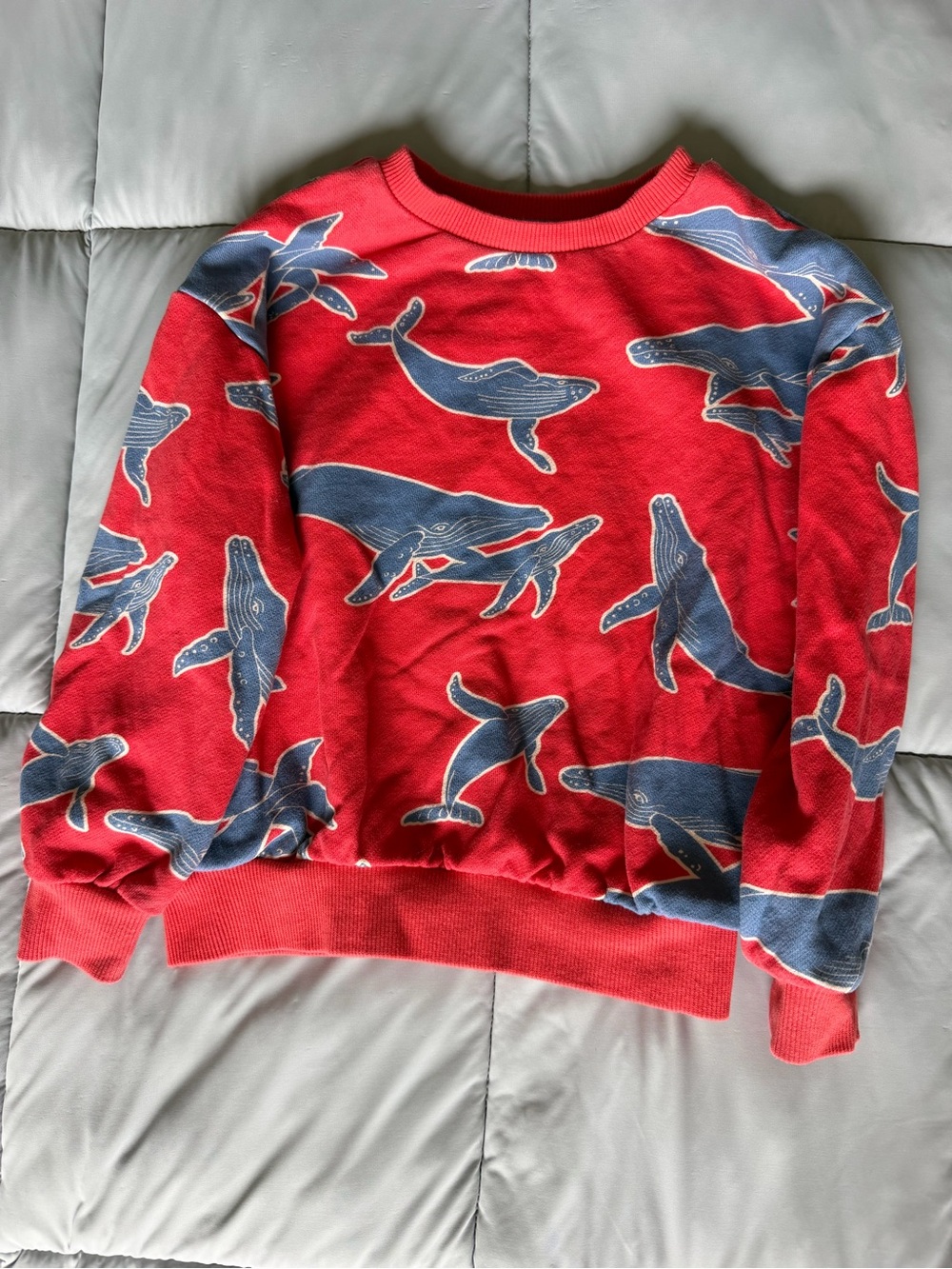 Mini Boden Coral Crewneck Sweatshirt